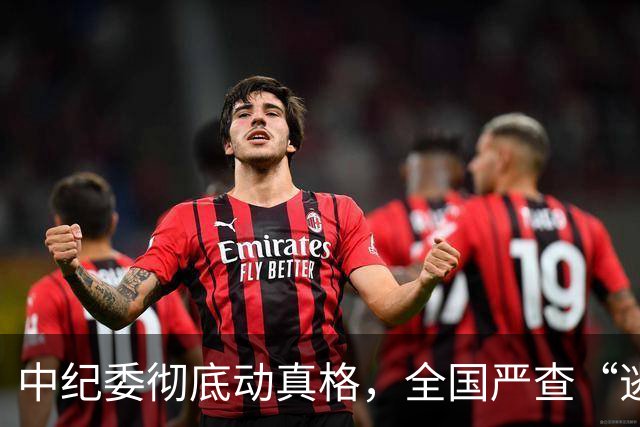 中纪委彻底动真格，全国严查“逃逸式”辞职！