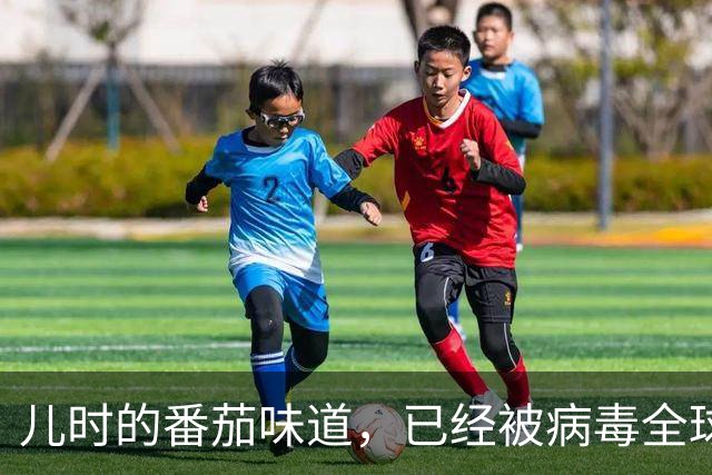 儿时的番茄味道，已经被病毒全球灭绝了20多年