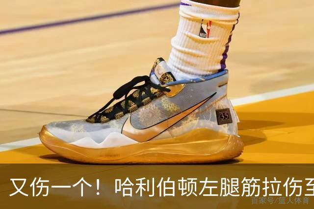 又伤一个！哈利伯顿左腿筋拉伤至少缺席2周