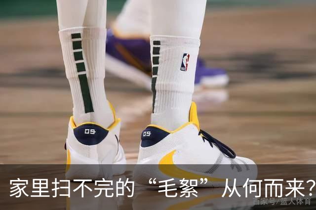 家里扫不完的“毛絮”从何而来？老保姆教你妙招，室内瞬间变干净