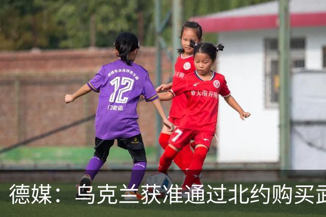德媒：乌克兰获准通过北约购买武器