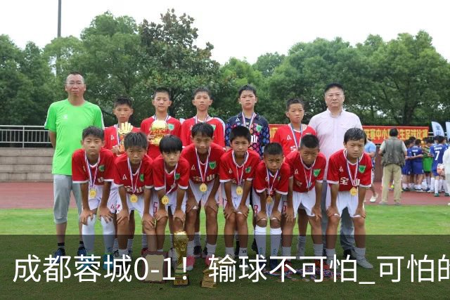 成都蓉城0-1！输球不可怕 可怕的是阿洛伊西赛后发言 坚信可以拿到冠军