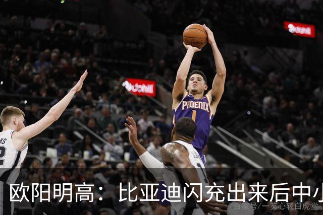 欧阳明高：比亚迪闪充出来后中小厂家、电池厂很焦虑 因为闪充投资太大