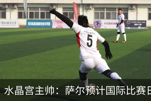 水晶宫主帅：萨尔预计国际比赛日后复出；每一分都至关重要