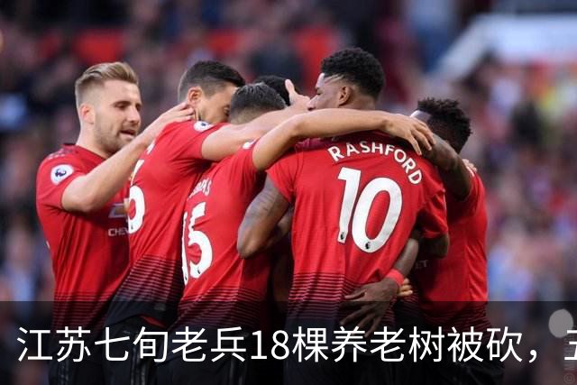 江苏七旬老兵18棵养老树被砍，五次赴省反映后被送派出所