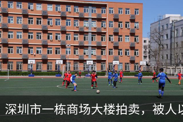 深圳市一栋商场大楼拍卖，被人以1.3566亿元竞得
