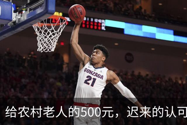 给农村老人的500元，迟来的认可。全国人大代表建议：将70岁以上农民基础养老金由每月百元左右提至500元。