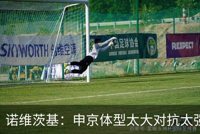 诺维茨基：申京体型太大对抗太强，马刺让他太轻松进篮下