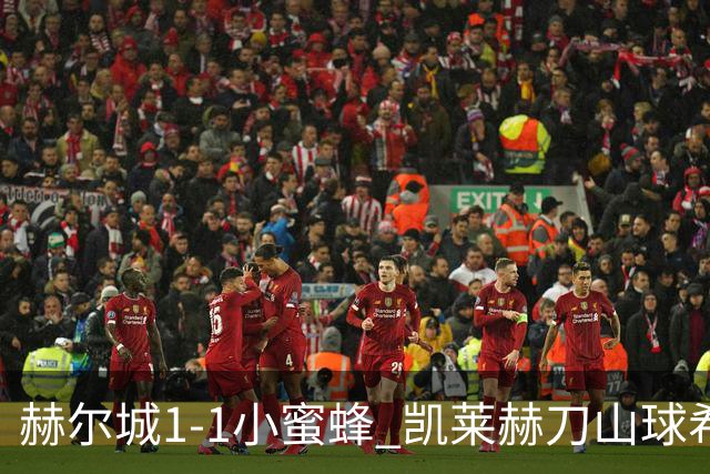 赫尔城1-1小蜜蜂 凯莱赫刀山球希基送点 麦克伯尼点射瓦塔拉扳平