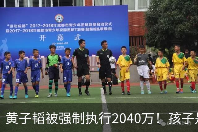 黄子韬被强制执行2040万！孩子是美国籍，已不是第一次出事