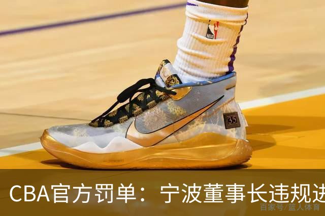 CBA官方罚单：宁波董事长违规进场+指责裁判停赛1场罚款3万